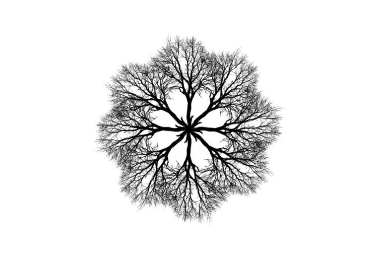 The Stages of Grief During a Pandemic