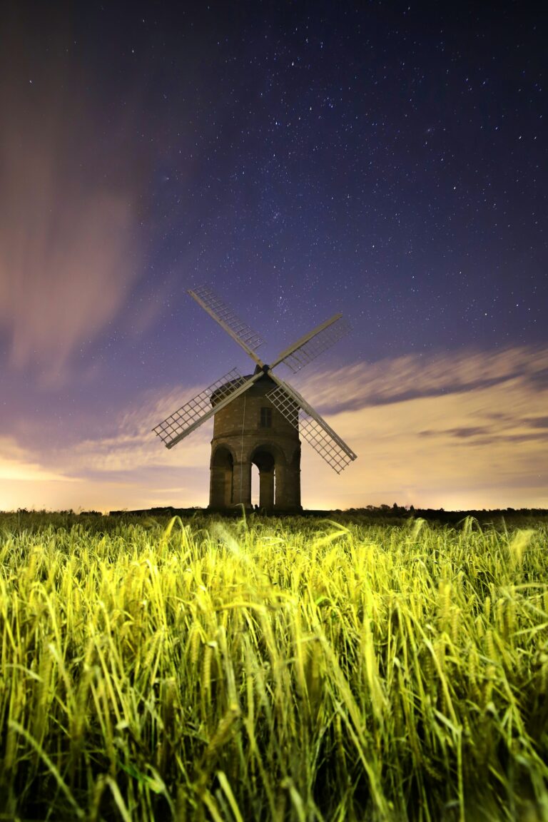 How Death Reminds Us To Live